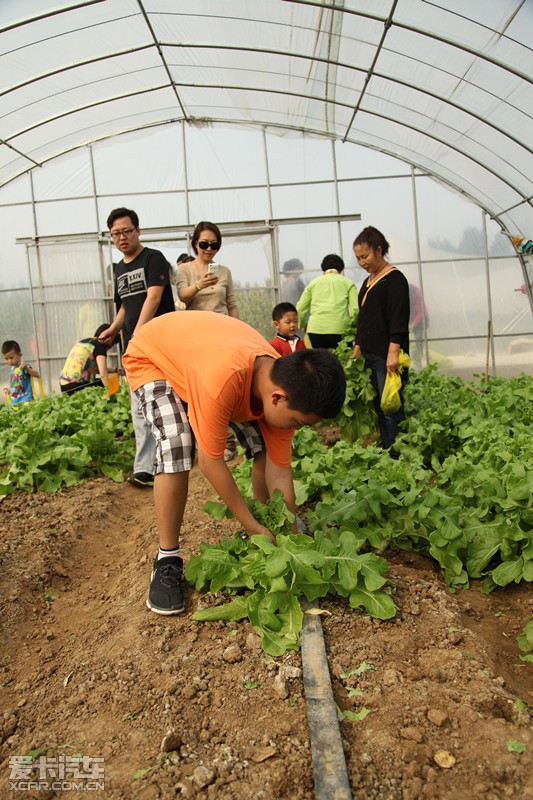 海淀保时捷中心-诺亚有机家庭日总结_【北京海