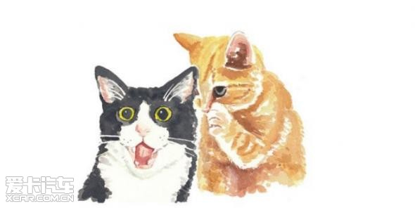 张扬! 这个秘密我只告诉你_【东风日产重庆东