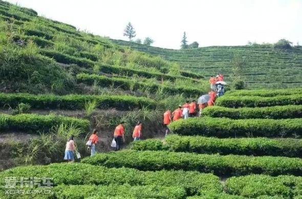 只是一杯茶 却把最好的时光都沉淀_【深圳市汇