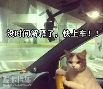 来不及解释了快上车