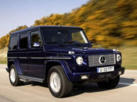 169.8f ÷ِ˹-YG500ʽ