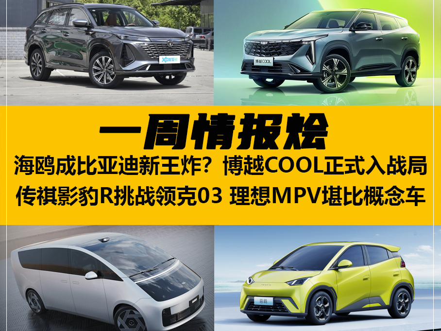 一周情报烩丨吉利再搅局 海鸥成新王炸