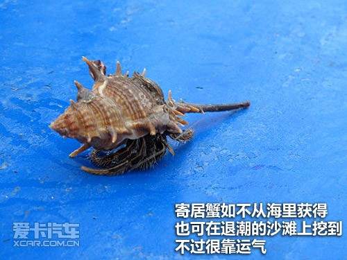 郑州日产车主大会广东站
