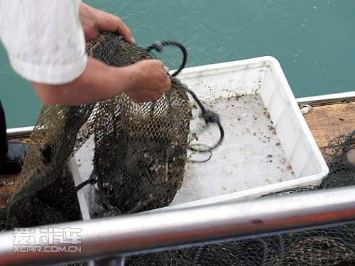 郑州日产车主大会广东站