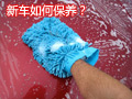 �³���α���������֪ʶ��