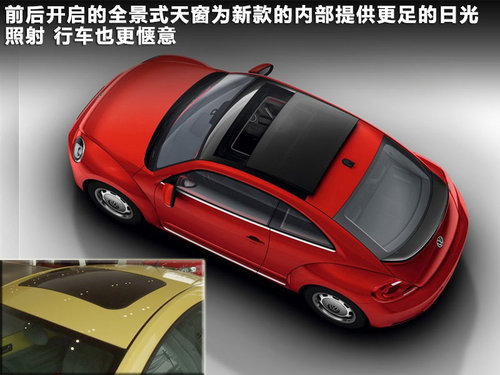 新老甲殼蟲(chóng)對(duì)比