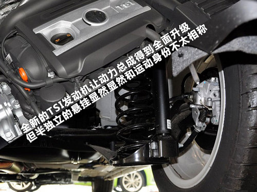 新老甲殼蟲對比