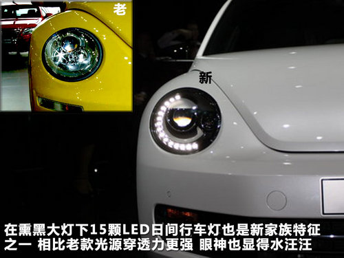 新老甲殼蟲(chóng)對(duì)比