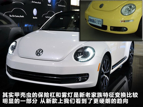 新老甲殼蟲(chóng)對(duì)比