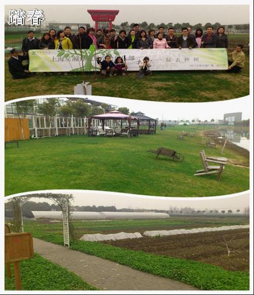 星瀚奔驰星享会俱乐部与 叶子 去种树_爱卡汽