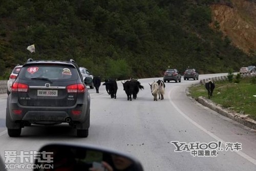 高原王子 驭胜S350尽显男人本色