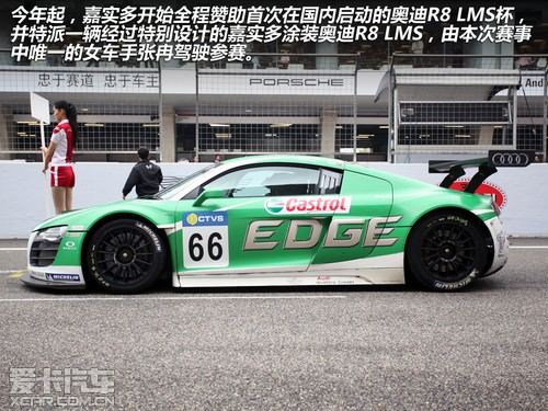 ϺR8 LMS Cupչս