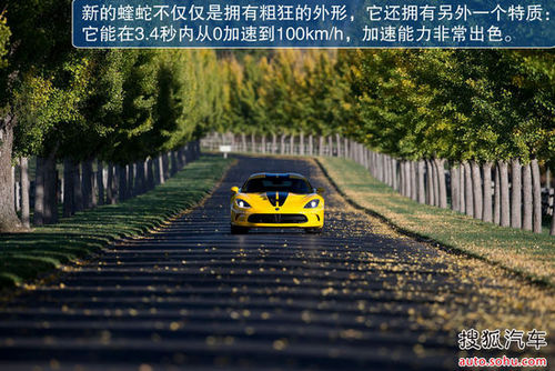 道奇蝰蛇GTS