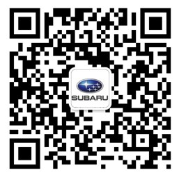 斯巴鲁森林人被美国媒体评为2014年度suv 高清图片
