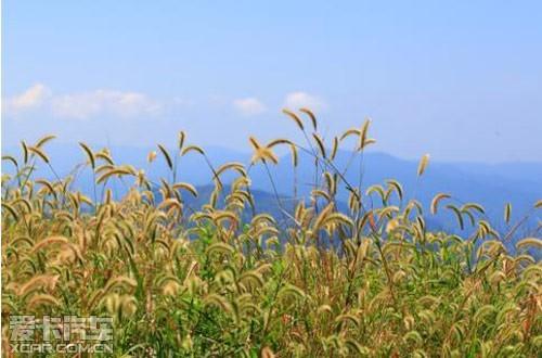 登顶衡东县第一高峰-金觉峰