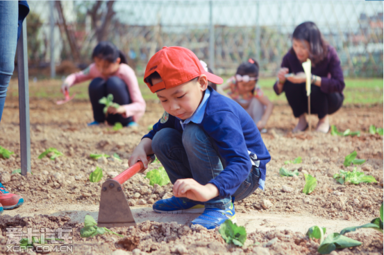 【图】2015厦门中宝宝马绿色农场亲子体验日