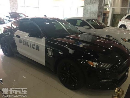 福特野马50周年纪念版天津隆重推出现车