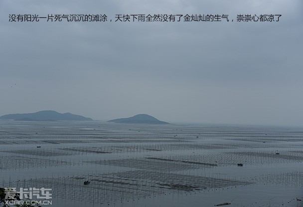 霞浦滩涂海鲜(4)