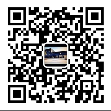 东风标致高清图片