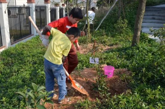 植树行动      东莞宏宝定期会诚邀广大bmw车主跟随我们一起到达福利