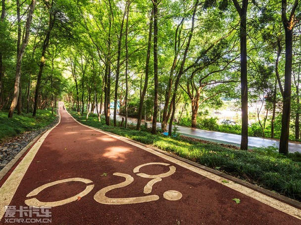 武汉东湖绿道已开放 详解周边如何停车