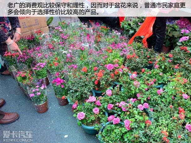 逛花街行好运 爱卡带你看2018广州花市