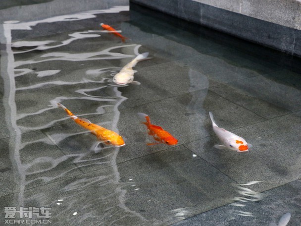 从细节提升客户满意度 探访南京中升之星