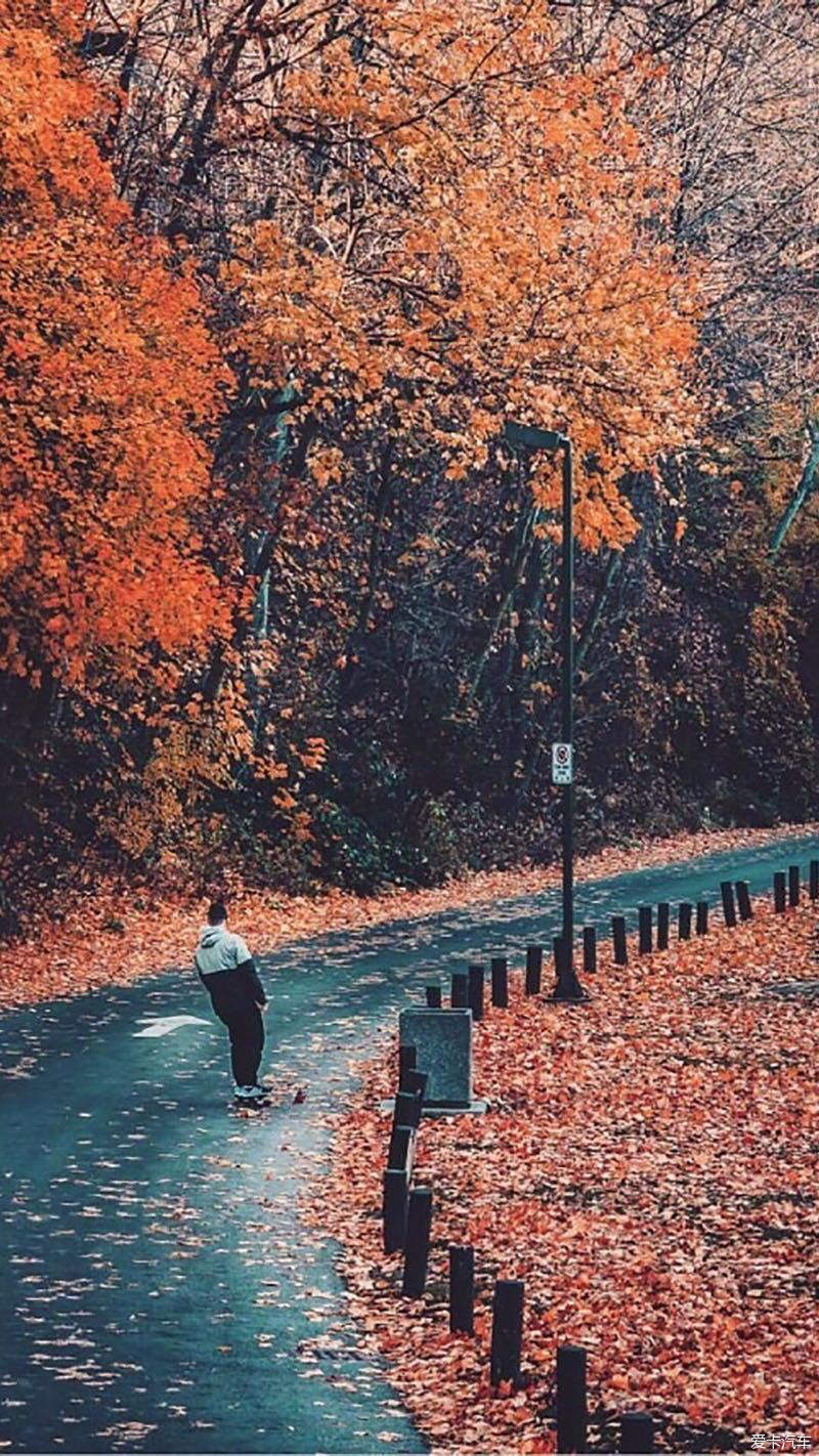 玩转地球#秋天,落叶,一个人