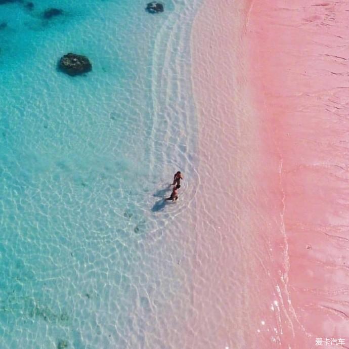 粉色沙滩位于巴哈马群岛上哈勃岛,被美国《新