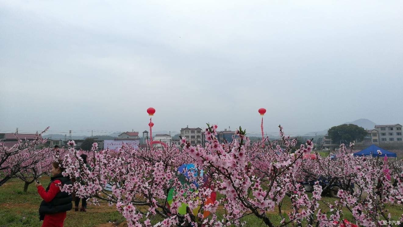 在永修县西南部105国道的边上有一座凤凰山花园,其面积约为5000亩,它