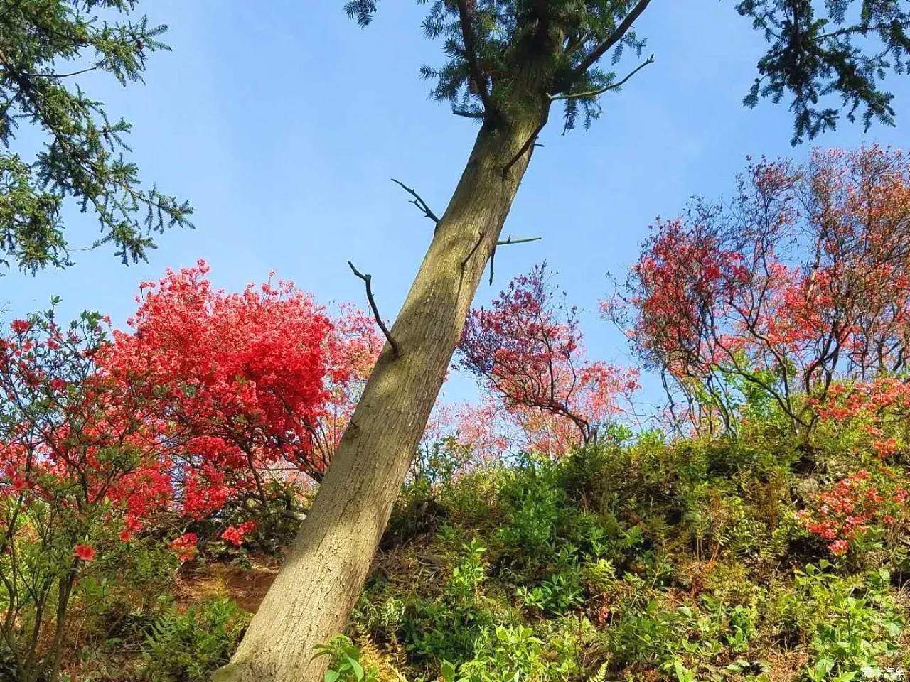 梅岭太阳谷