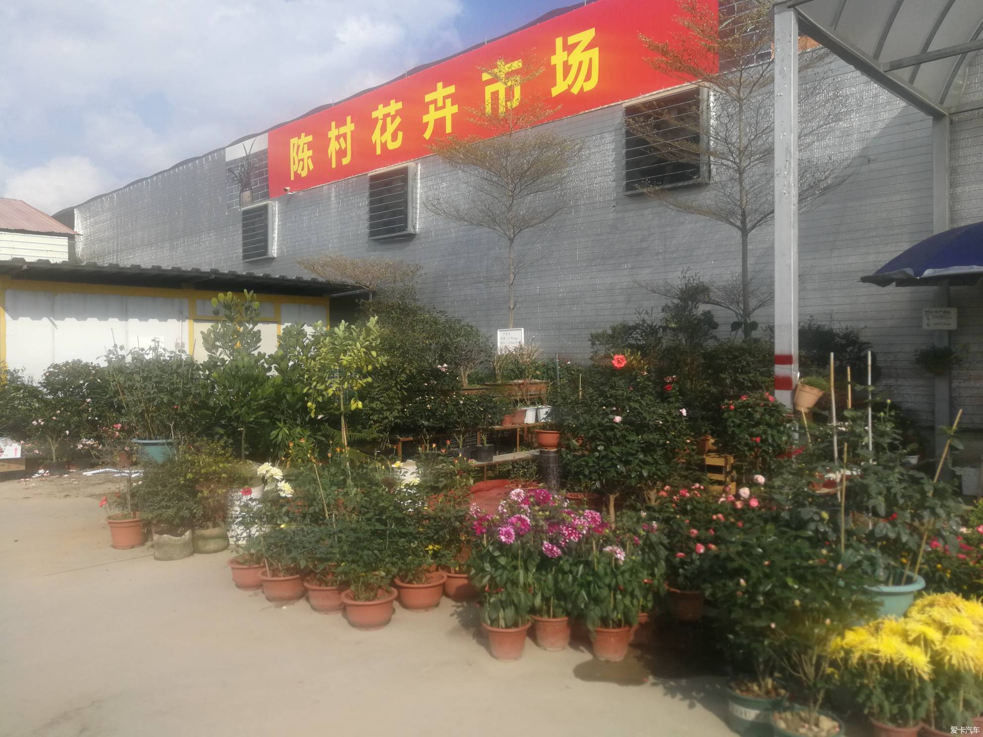 顺德陈村花卉市场