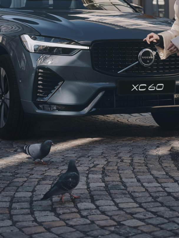 沃尔沃xc60峡湾版新款上市奔赴属于你的峡湾