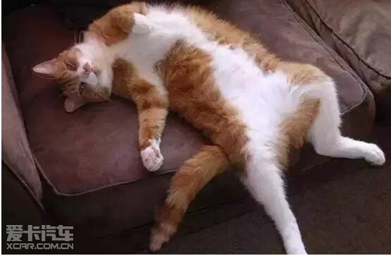 "北京瘫"很舒服,但你造吗,这个让你欲 仙欲死的姿势,其实对身体