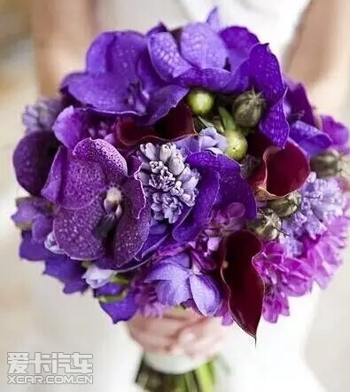 活动当日,进店客户均可带走现场的紫色香芋花