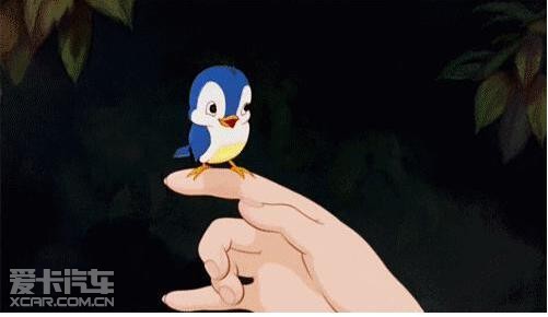 2017年最受期待的车贷免息    隔壁奥斯卡闹了一场乌龙