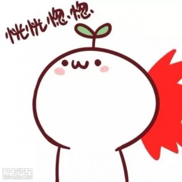 【图】关于马路上的那些奇葩,你可能榜上有名_徐州大行汽车贸易有限