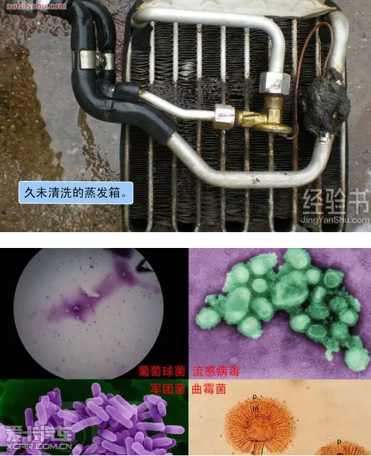 但实际上空调的脏东西及各种细菌(葡萄球菌,军团菌,曲霉菌,流感病毒等