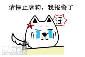 520专属萌态表情包 高大上 你用了几个