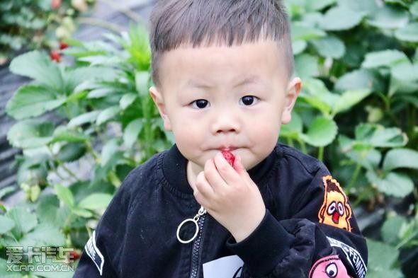 台州德星奔驰售后经理沈继安先生为嘉宾们做了详细解答,实用的用车