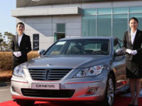 Genesis��ʽ���� ���ִ��߶�Ʒ��