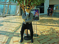 �����ۻ�������  ���������纫���μ�