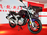 ����������YS250��ʽ���� �ۼ�23800Ԫ