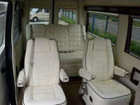 �ƺ���;���ڳ�Ϊ����г���һƥ����