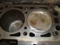 ��֪���𣿹�ע��������Ҳ�Ỽ�Ϸ�����