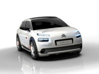 ѩ����C4 Cactus�¸����ͼ 10���׷�