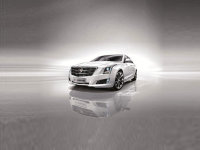 ����������ATS-L MRC������Ÿ�Ӧ����