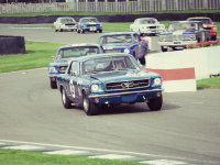 ��Խʱ������ �ι۹ŵ���¹Ŷ�������