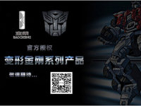 ���˽�����2014�Ϻ�����Ʒ����Ȩչ����