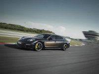 ��ʱ��Panamera�ر�淢�� ����100̨